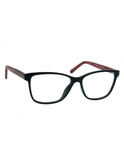 VALERIO Σκελετός οράσεως  pl 1118 bkrd