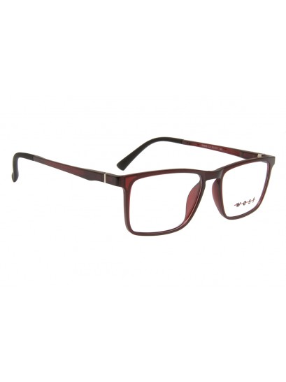 West 99866  C2  Σκελετός Οράσεως