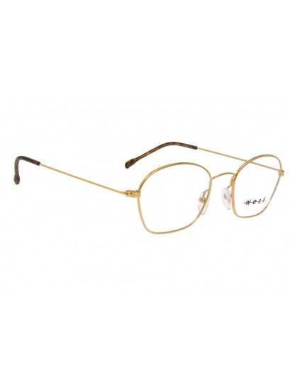 West 99892  C1  Σκελετός Οράσεως