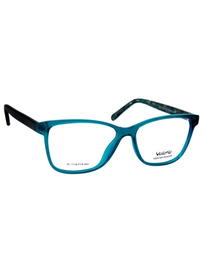 VALERIO Σκελετός οράσεως  pl 1118 ptr