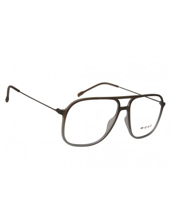 West 99880  C3  Σκελετός Οράσεως