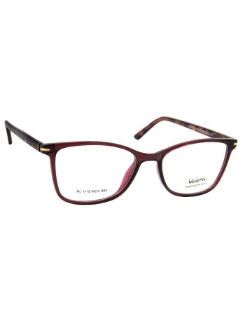 VALERIO Σκελετός οράσεως  pl 1116 mov