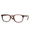Centrostyle  Γυαλιά Πρεσβυωπίας cr16048 Tortoise