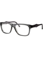 Philosopheyes 995 C004 Σκελετός οράσεως