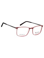 MURAKAMI ch 904 blcl  Σκελετός οράσεως